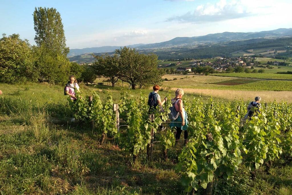 Randonnée Beaujolais - Gîte Lumière